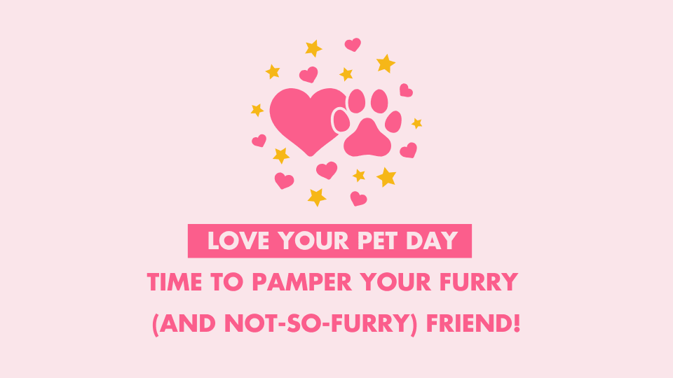 Love Your Pet Day: Time to Pamper Your Furry (and Not-So-Furry) Friend! - SAPHETTE